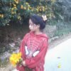 Kub Lynn